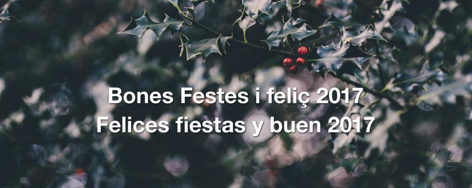 Bones festes